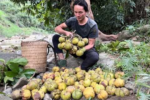 Harvest piglets, chicks, fruits Goes to market sell -  Vàng Hoa