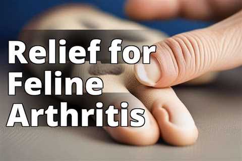 CBD Oil Benefits for Arthritis in Cats: The Ultimate Guide to Relieving Feline Joint Pain