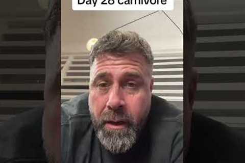 Day 28 carnivore diet I feel brand-new my knees are like a 15-year-old