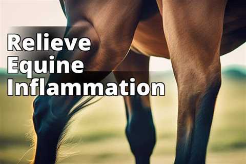 From Pain to Relief: Exploring the Benefits of CBD Oil for Inflammation in Horses