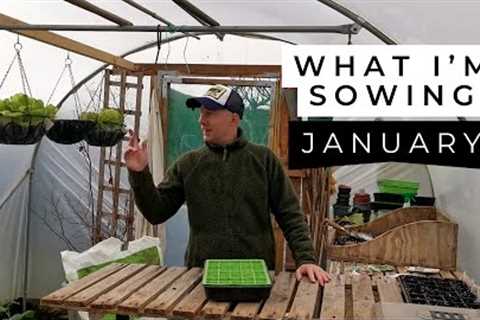What I''m Sowing in January 2024| The Growing Season STARTS NOW!