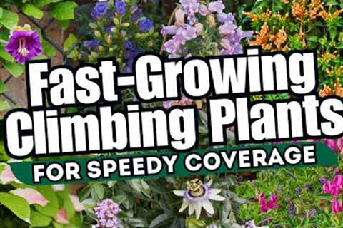 10 Fast-Growing Climbing Plants for Speedy Coverage 🌼🍃 // INSTANT GARDEN MAKEOVER