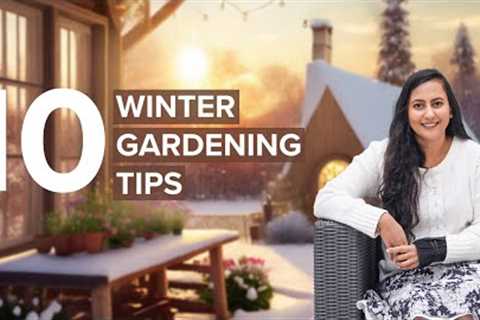 Winter Garden Tips ❄️: 10 Genius Tips To Transform Your Garden In Spring