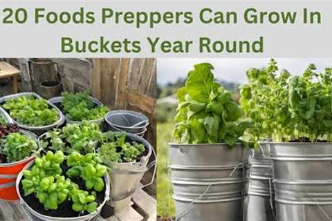 20 Foods Preppers Can Grow In Buckets Year Round