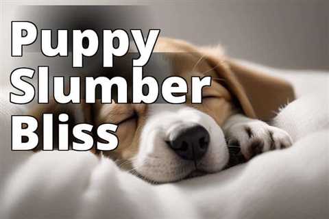 Discover the Best CBD for Puppies to Sleep Soundly
