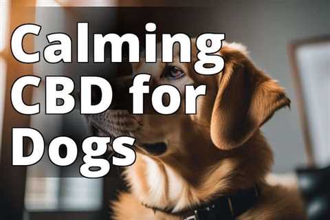 The Ultimate Guide: CBD’s Role in Easing Dogs’ Separation Anxiety