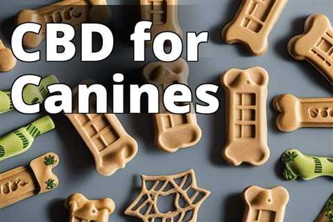 The Ultimate Guide: What Are CBD Dog Treats Good For? Safety, Effectiveness, Dosage