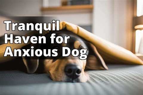 The Ultimate Guide to Calming Your Anxious Dog