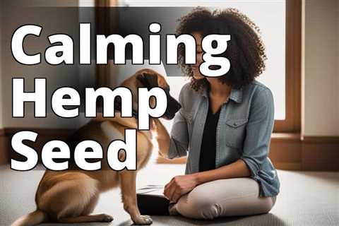 Hemp Seed Oil: A Natural Solution for Dog Anxiety Relief