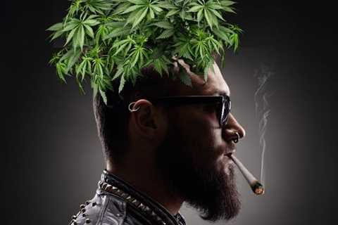The Marijuana Industry Mullet - Great on the Top Line, No Profits on the Bottom Line