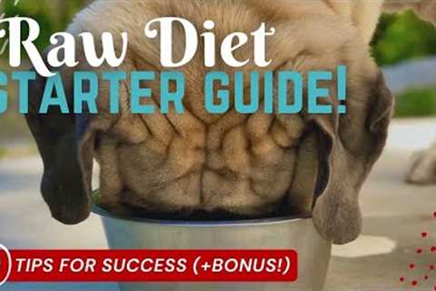 Raw Diet for Large Breed Dogs Starter Guide - Top 10 Tips + BONUS [Raw Dog Food PREP & FEED..