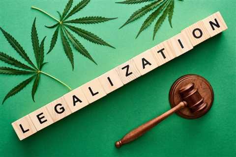 FL Atty. Gen. Given Extension to Argue For Exclusion of Cannabis Reform Initiative on 2024 Ballot
