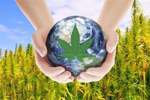 Looming Shortage of Carbon Credits Could Boost Hemp Industry
