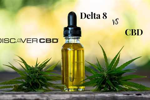 DELTA 8 THC Vs CBD Pet Oils: What You Need To Know Before Buying?