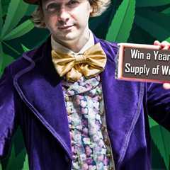Win Free Weed for a Year - Find The Willy Wonka Golden Cannabis Tickets or Create a Great..
