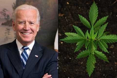 Biden Promotes Marijuana Reform In State Of The Union Address, A Historic First