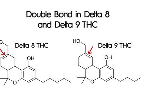 12 Fascinating Facts About Delta 9 THC Molecule Structure