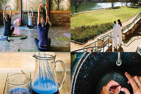 Eco-Friendly Spas in Fort Worth, TX: Rejuvenate and Recharge with Natural Products