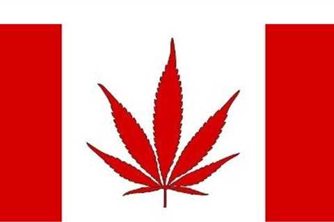 Canadian Cannabis Companies Abandon the U.S. CBD Sector