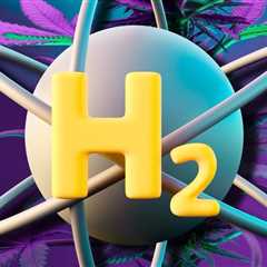 What happens when you bond hydrogen to THC?  You get HHC.  And I sell a fuck…