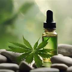 Top CBD Oils for Back Pain Relief