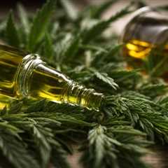 Unlocking the Neuroprotective Power of CBD Oil for Epilepsy Treatments
