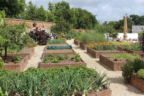 Should You Grow Your Own Food?