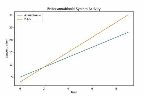 CBD Soothes Inflammation Find Relief