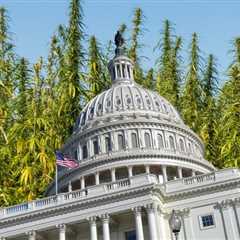 The Government Wants to Kill the US Weed Industry - The Battle Behind the 'Hemp Gets You High'..