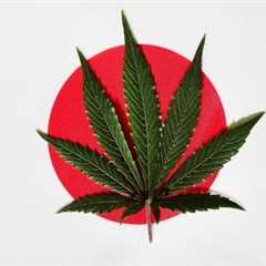 Japan Government Opens Public Comment Period for Cannabis Reform