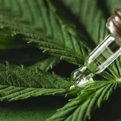 No Next-Day Impairment Associated With Nighttime Use of Cannabis Oil