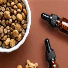 Are cbd treats good for dogs?