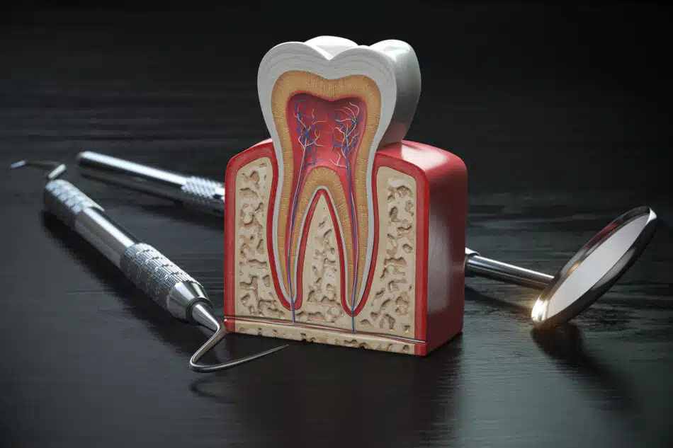 The Latest Advances in Root Canal Treatment: Technologies and Techniques