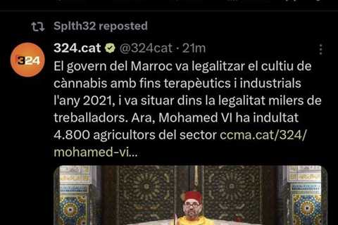 🚨🇲🇦🌿 4800 AGRICULTURES DE CANNABIS INDULTADOS  En el 2021, el Rey Mohamed VI…