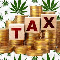 Marijuana Taxes in One City Created over $20 Million for Homeless Services, Affordable Housing,..