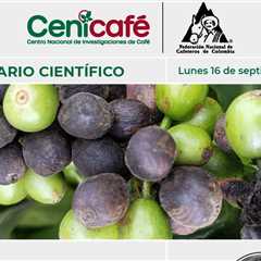 Seminario científico: caracterización de la Colección Colombiana de Café por su…