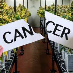 Does Hemp Have Cancer-Fighting Properties? - New Study Shows More Therapeutic Value in Hemp Than We ..