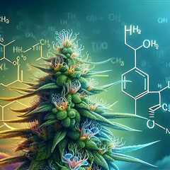 Why rely on myths when you can rely on science? Learn how long THC-A stays in…