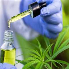 Exploring the Potential of <b>Cannabis Therapy</b> in Conjunction with Other Treatments