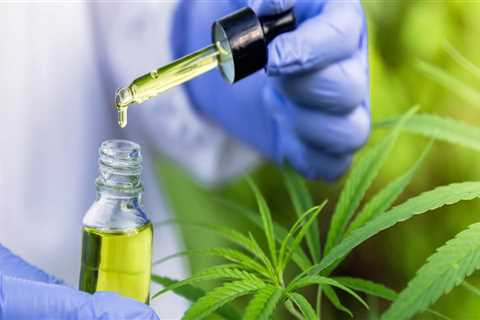 Exploring the Potential of <b>Cannabis Therapy</b> in Conjunction with Other Treatments