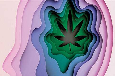 The Future of Medical Marijuana: An Expert's Perspective