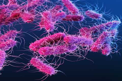 Scientists Find Potential in Salmonella to Combat Cancer