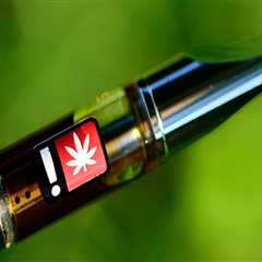 Important Details You Need To Know About CBD Vape Pens And Cannabis Vaporizers