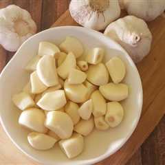 Immune-Boosting Benefits of Garlic