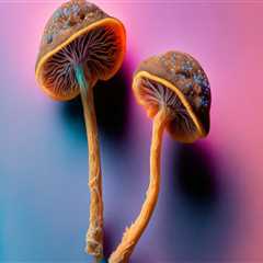 Exploring the Potential Future Applications of <b>Psilocybin</b>