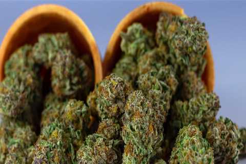 How To Find The Best Recreational Dispensary For Your Medical Marijuana Needs In Ferndale, MI?