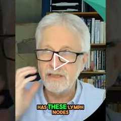 Lymphatic System: Simple Movement for Detox & Health #shorts