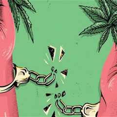 The Impact of Cannabis Legalization on Drug Policy and Enforcement in Pasco, Washington: An..