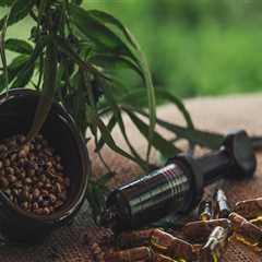 Exploring Medical Edibles in Alcohol Rehab Programs