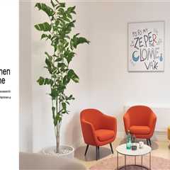 Einfluss von Vitaminen auf die Kinderpsyche